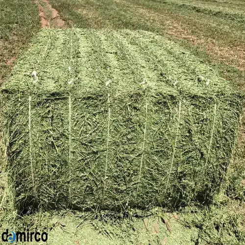 تصویر یک بسته علف مربعی