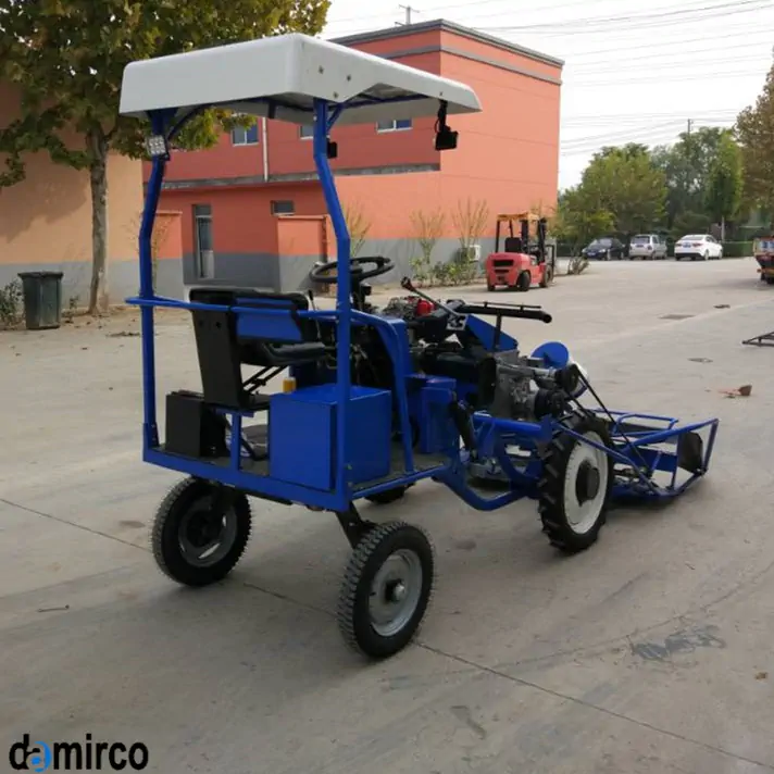 عکس دروگر در محوطه