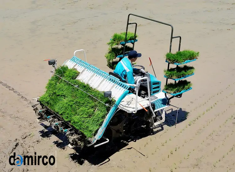 دستگاه در حال نشاکاری در شالیزار