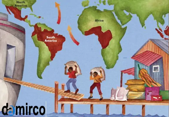 تصویر حمل و نقل-کاکائو