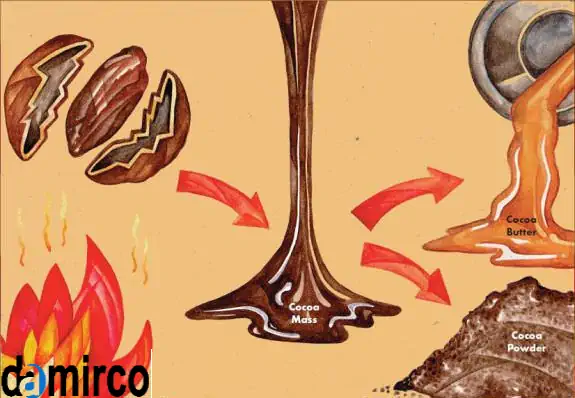 تصویر توده کاکائو