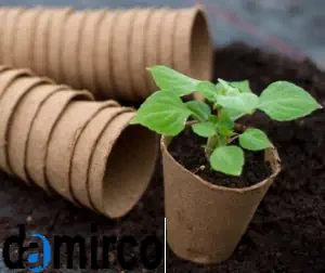 تصویر گلدان کارتنی