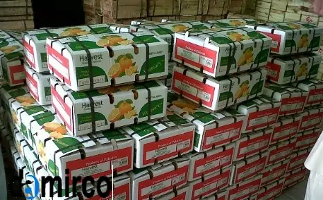 تصویر کارتن میوه 2