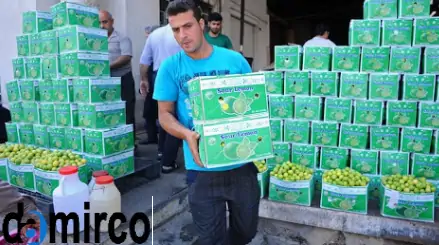 تصویر کارتن میوه 3