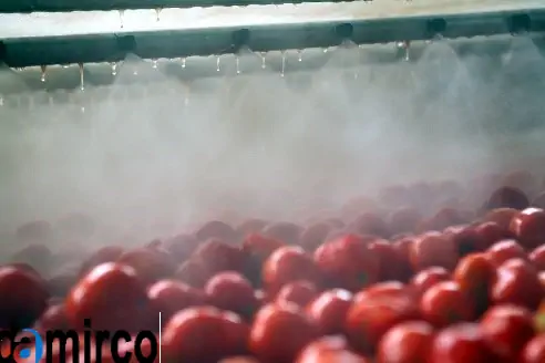 تصویر گوجه فرنگی