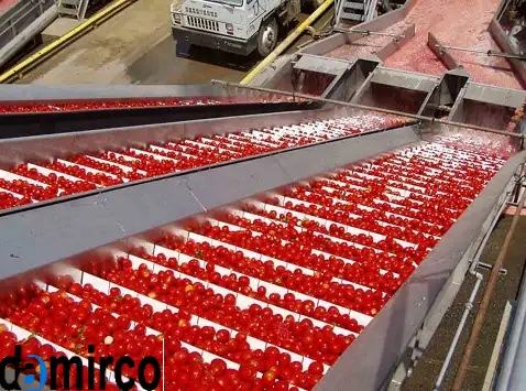 تصویر بالابردن گوجه فرنگی