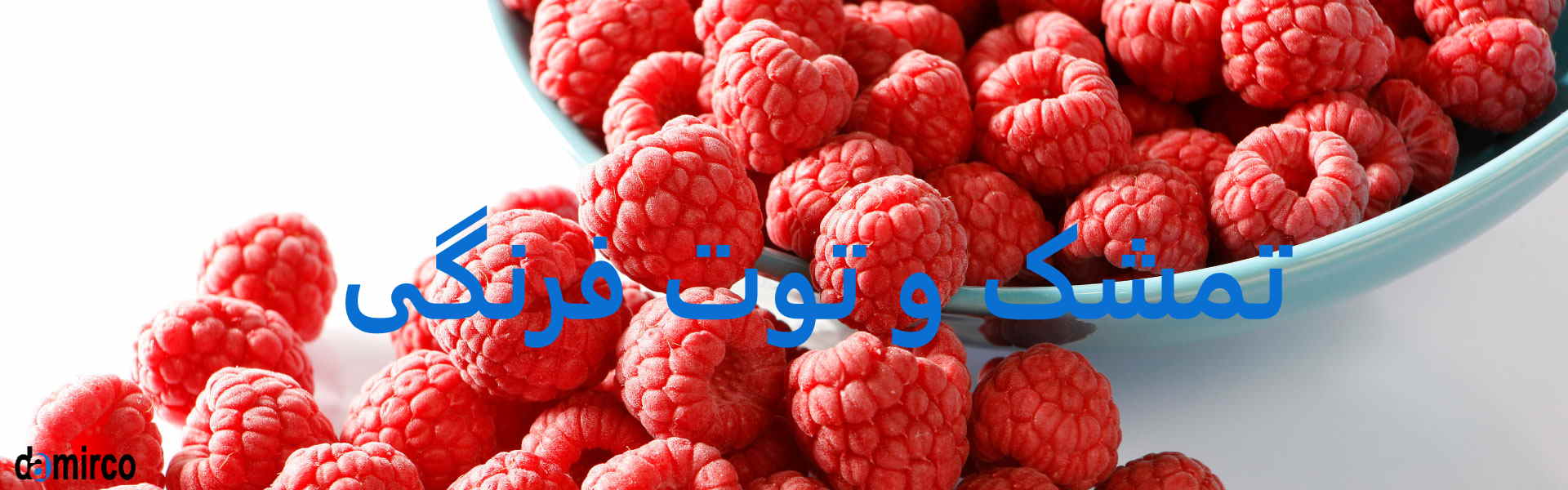 عکس تمشک منجمد شده با انجماد سریع iqf