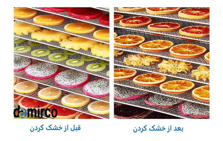 نمونه میوه های خشک شده