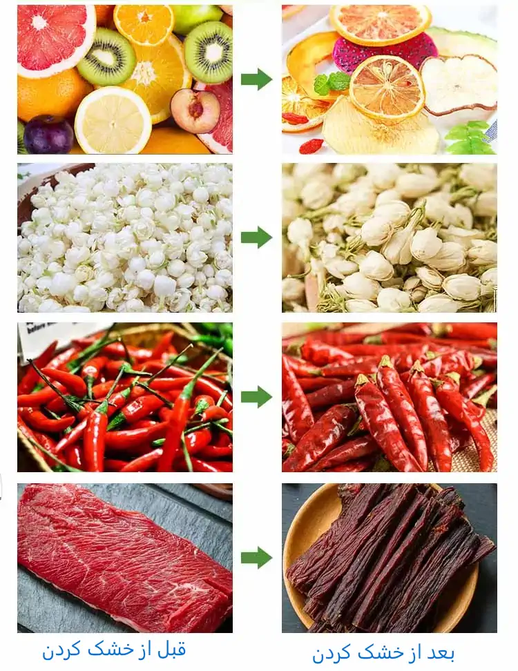 عکس میوه و سبزیجات خشک شده توسط میوه خشک خانگی